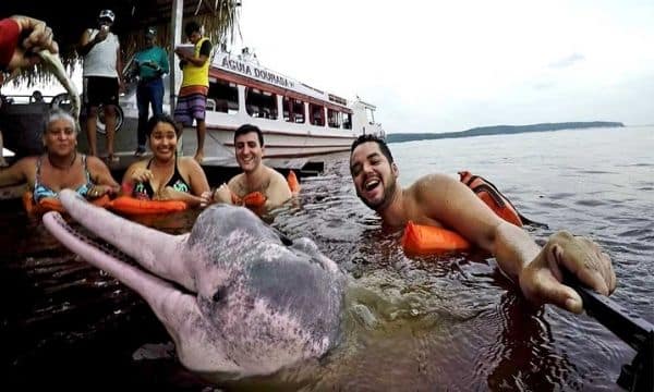 Iquitos Best Multiday Amazon Tour Package | All Inclusive | Solo Travelers | Best Prices | Peru Bucket List | Tour Agency