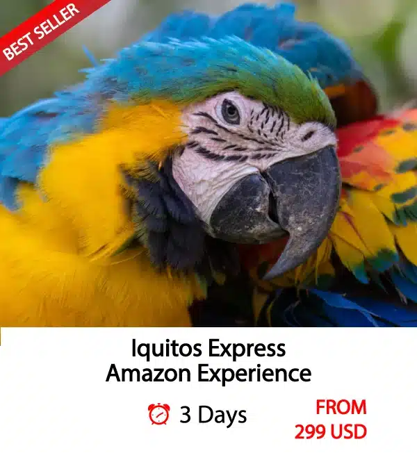3 Days Iquitos Tour Amazon Rainforest Experience - Peru Bucket List